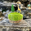 Handmade Terrarium Mini Giraffe Desktop Decoration Micro Landscape Lawn Handmade Preserved Moss Art Handcrafted Glass Container