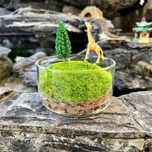 Handmade Terrarium Mini Giraffe Desktop Decoration Micro Landscape Lawn Handmade Preserved Moss Art Handcrafted Glass Container