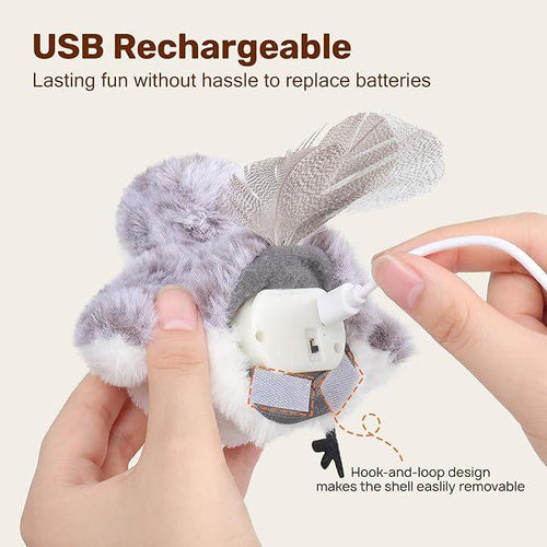 Flapping Bird Cat Exercise Toys