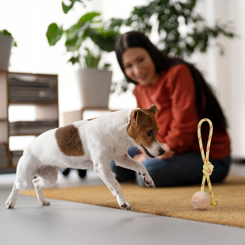 FDT Rubber Dog Ball on Rope, Small - Diameter 2 (5 cm)