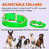 Viper Biothane Waterproof Dog Collar - Brass Hardware - Size M (15 to 18 inches)