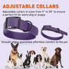 Dogline Biothane Waterproof Dog Collar with Black Hardware -  1.5 Wide, Size XL (20 to 24 inches)