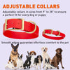 Viper Biothane Waterproof Dog Collar - Brass Hardware - Size XL (22 to 25 inches)