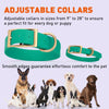 Viper Biothane Waterproof Dog Collar - Brass Hardware - Size L (18 to 22 inches)