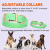 Viper Biothane Waterproof Dog Collar - Brass Hardware - 1.5in Wide, Size XXL (24 to 28 inches)