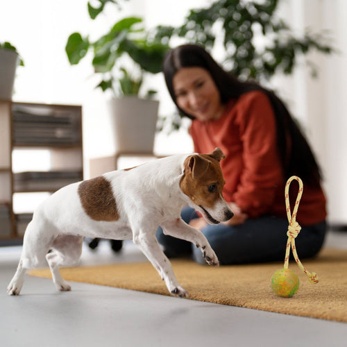 FDT Rubber Dog Ball on Rope, Medium - Diameter 2.3 (6 cm)