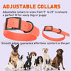 BioThane Waterproof Dog Collar - XS: L 12-15 x W 5/8 - Black OR Brass Hardware