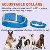 Viper Biothane Waterproof Dog Collar - Brass Hardware - 1.5in Wide, Size L (16 to 20 inches)