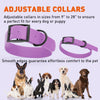 Dogline Biothane Waterproof Dog Collar with Black Hardware -  1.5 Wide, Size L (16 to 20 inches)