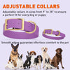 Viper Biothane Waterproof Dog Collar - Brass Hardware - 1.5in Wide, Size XL (20 to 24 inches)