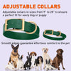 Viper Biothane Waterproof Dog Collar - Brass Hardware - Size XS (9 to 12 inches)
