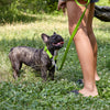 Biothane Adjustable Martingale Collar for Dogs