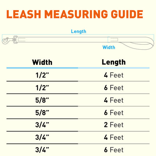 Biothane Waterproof Dog Leash, 4 ft