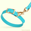 Viper Biothane Waterproof Dog Collar - Brass Hardware - Size L (18 to 22 inches)