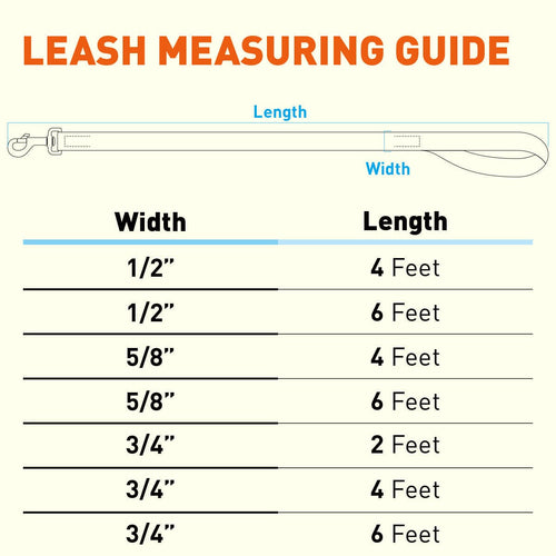 Biothane Waterproof Traffic Lead for Dogs, 2 ft