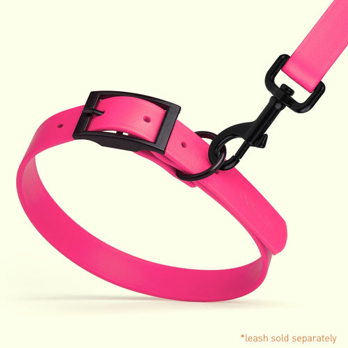 BioThane Waterproof Dog Collar - XS: L 9-12 x W 1/2 - Black OR Brass Hardware