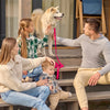 Biothane Working Dog Lead 10ft - Long Line Collection