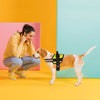 Unimax Multi-Purpose Dog Harness