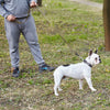 Biothane Waterproof Multi-Handle Dog Leash