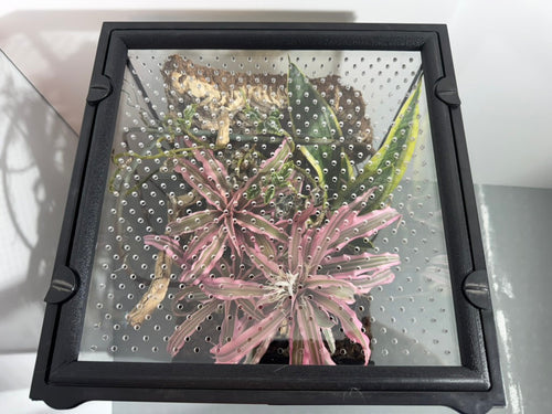 EncloSure™ Replacement Lid for Exo Terra Natural Terrarium 12″ × 12″