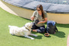 The Dog Bag™ Adventure Bundle