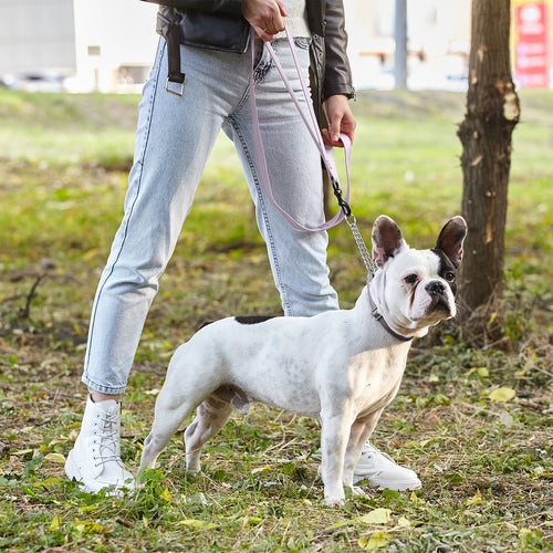 Biothane Waterproof Multi-Handle Dog Leash