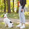 Biothane Waterproof Traffic Lead for Dogs, 2 ft