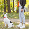 Biothane Waterproof Dog Leash, 4 ft