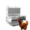 RentACoop 40 lb Automatic Treadle Chicken Feeder
