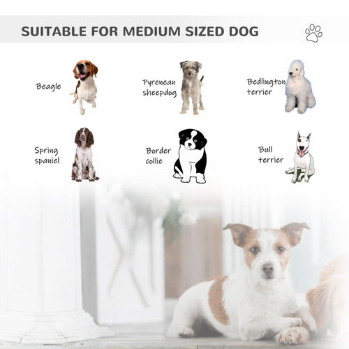 Bike Trailer Cargo Cart for Dogs and Pets
