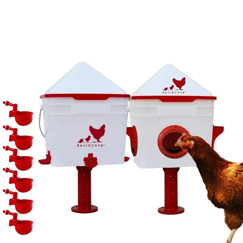 RentACoop Chick2Chicken 10lb Feeder & 2 Gal Waterer Set