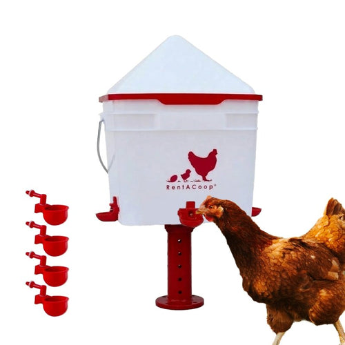 RentACoop 2 Gallon Chicken Waterer with 4 Auto-Fill Water Cups and 4 Horizontal nipples