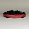 LED Dog Collar: Green