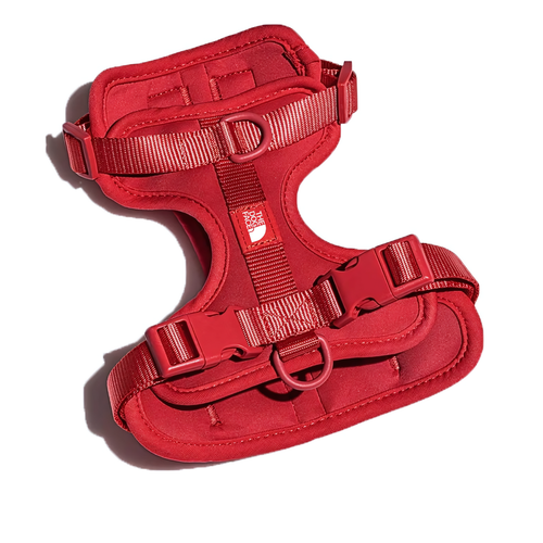 Summit Series Harness