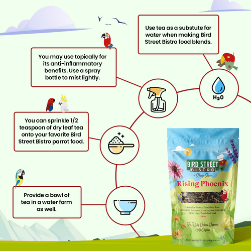 Parrot Food & Tea Starter Pack