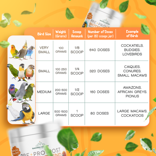 Organic Pre+Pro+Post Biotics Blend for Parrots - 1.06oz