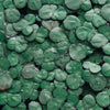 Giant Duckweed 2oz Portion