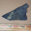 Pennsylvanian Fern Fossil #9-063