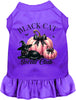 Pink and Black Cat Social Club Pet Dress