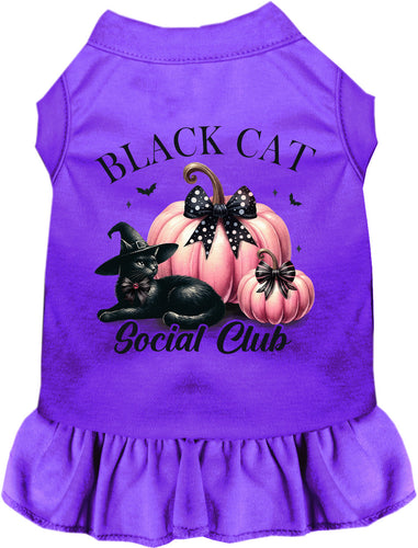 Pink and Black Cat Social Club Pet Dress