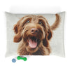 Pet Bed – Plush Dog Bed, 3 Size Options