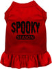 Bloody Spooky Season Halloween Pet Dress