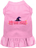 Something Wicked This Way Comes Pet Dress