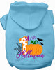 My First Halloween Pet Hoodie