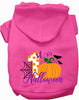 My First Halloween Pet Hoodie