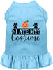 I Ate My Costume Halloween Pet Dress