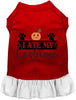 I Ate My Costume Halloween Pet Dress