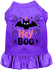 Hey Boo! Pet Dress