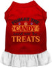 Forget the Candy! Halloween Pet Dress