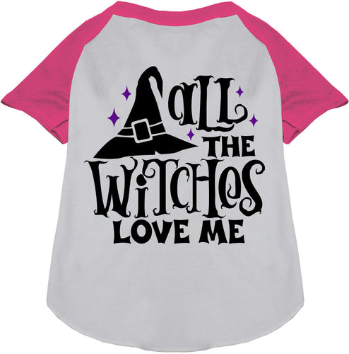 All the Witches Love Me! Pet Raglan Shirt